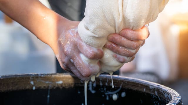 Cómo hacer leche y queso de soja en casa repleto de proteína y con larga duración