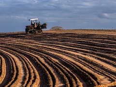 Fenómeno de El Niño golpea a Colombia: los alimentos que podrían escasear durante la sequía