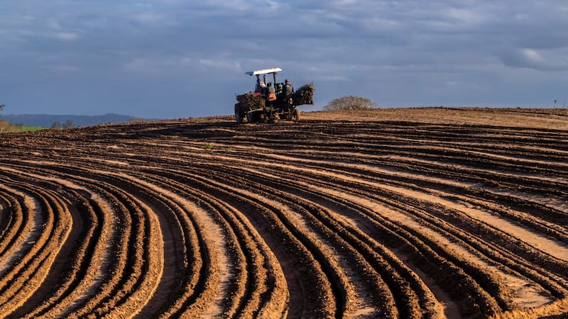 El fenómeno de El Niño podría afectar la producción de alimentos y elevar los precios en Colombia.
