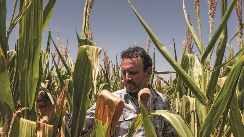 Trabajadores del campo
