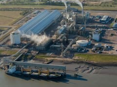 La joya que Adecoagro le compró a YPF ya le hizo ganar más de u$s 40 millones