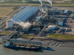 La joya que Adecoagro le compró a YPF ganó u$s 50 millones