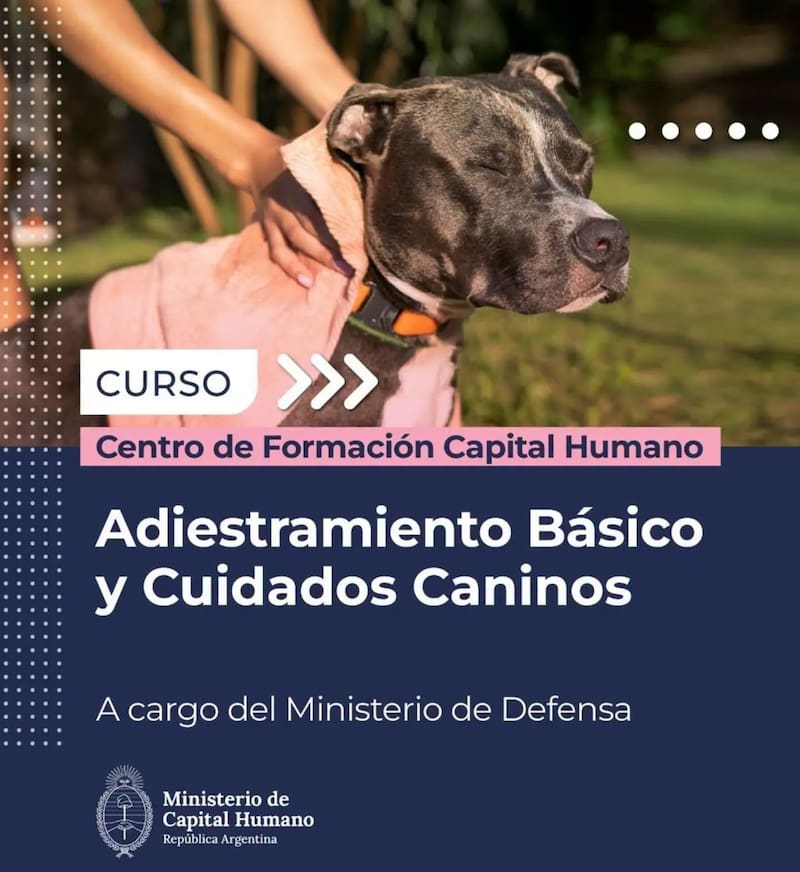 El nuevo programa de adiestramiento destinado a titulares de Volver al Trabajo.