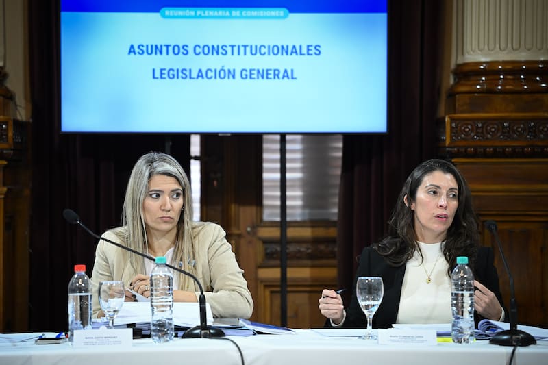 El texto ya tiene dictamen en el Senado