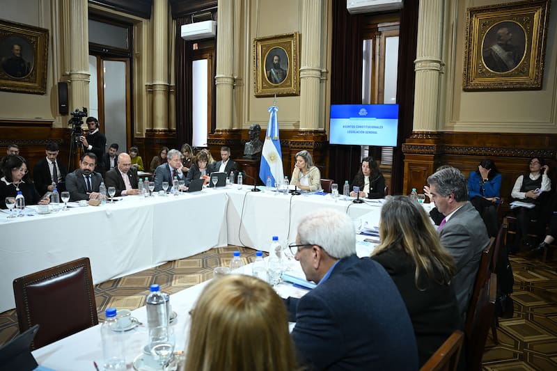 Reunión Plenaria de las Comisiones de Asuntos Constitucionales y de Legislación General en el salón Illia del Senado de la Nación, el 20 de mayo de 2026, en Buenos Aires; Argentina. (Foto: Sofia Areco/ Comunicación Senado)