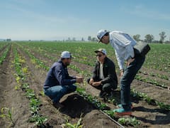 P&G y Kilimo impulsan proyecto para devolver más de 1,000 millones de litros de agua al Valle de México