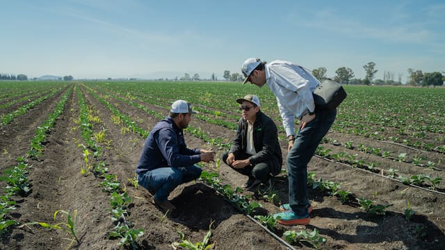P&G y Kilimo impulsan proyecto para devolver más de 1,000 millones de litros de agua al Valle de México