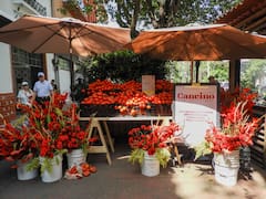 Frutas y verduras le ponen freno a la inflación por tercer mes al hilo