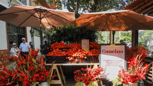 Frutas y verduras le ponen freno a la inflación por tercer mes al hilo