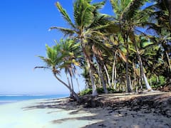 El Corte Inglés ofrece descuentos para viajar al Caribe: el paquete incluye vuelos, traslados y hoteles 5 estrellas para visitar Punta Cana