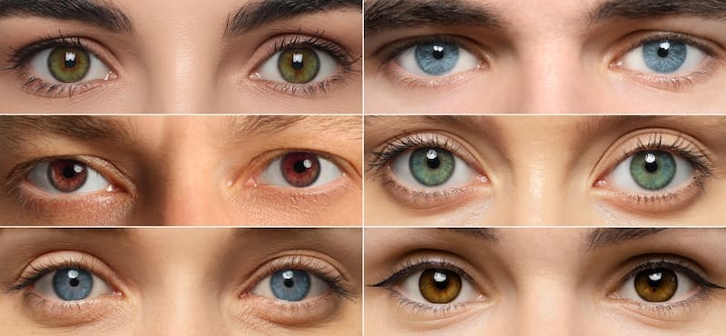 El color verde es el tono del iris menos común que existe.