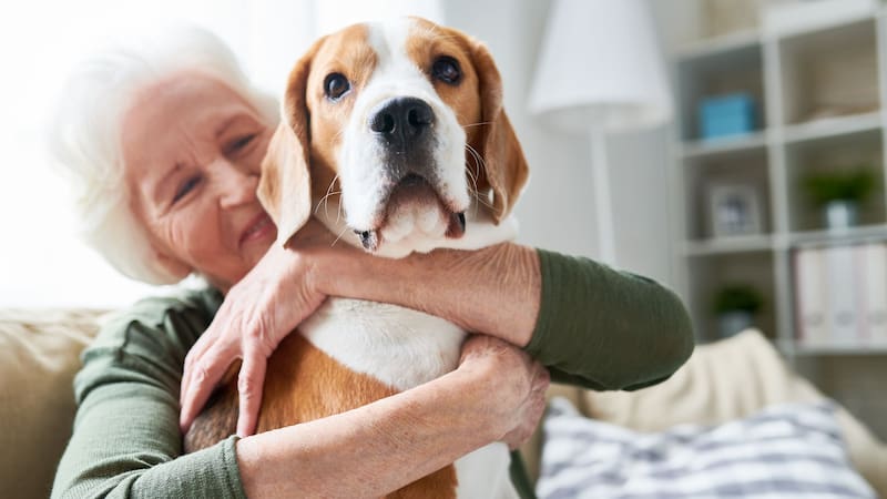 ¿Qué es la terapia de mascotas y por qué sirve para combatir el Alzheimer?