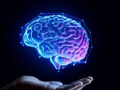 Frustración | Qué le pasa al cerebro cuando una recompensa esperada no llega y por qué puede cambiar nuestra conducta