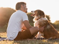 Qué significa hablarles a las mascotas como si fueran humanos, según la psicología