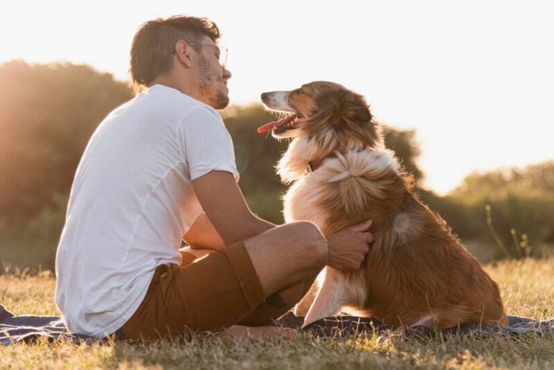 Qué significa que una persona adopte perros de la calle, según la psicología
Fuente: Archivo