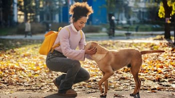 El Gobierno lanzó un nuevo curso gratuito para ser domesticador de perros: quiénes pueden participar