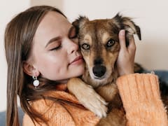 Es oficial | Ahora será obligatorio que todas las mascotas porten su propio documento: habrá sanciones para dueños que no completen el registro