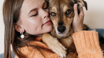 Es oficial | Ahora será obligatorio que todas las mascotas porten su propio documento: habrá sanciones para dueños que no completen el registro