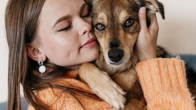 Es oficial | Ahora será obligatorio que todas las mascotas porten su propio documento: habrá sanciones para dueños que no completen el registro