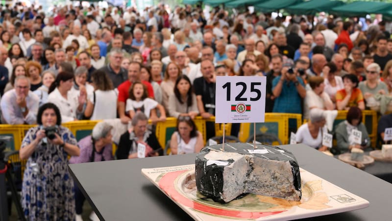 Es considerado el mejor queso azul y el más caro del mundo: fue vendido por 37.500 euros y batió un récord.