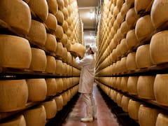 Fracasaron al guardar el queso y más de medio millón de hormas está por echarse a perder: hay 300 millones de euros en peligro