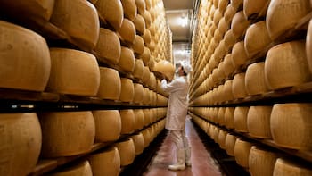 Fracasaron al guardar el queso y más de medio millón de hormas está por echarse a perder: hay 300 millones de euros en peligro