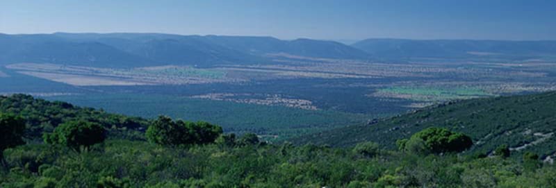 Buscan voluntarios cuidar la fauna y el monte a cambio de vivir gratis en la finca utilizada por Pedro Sánchez en Toledo.
