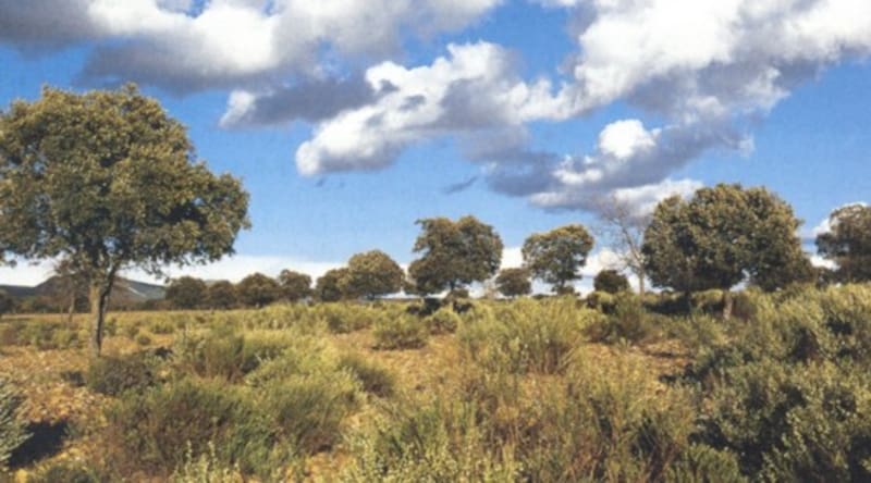 Buscan voluntarios cuidar la fauna y el monte a cambio de vivir gratis en la finca utilizada por Pedro Sánchez en Toledo