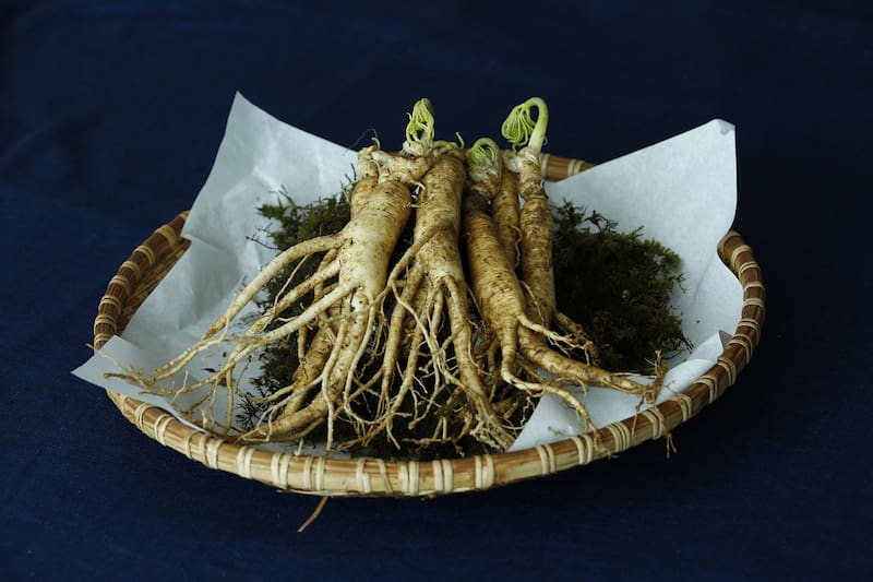 La raíz del ginseng contiene gingenósidos, compuestos con efecto neuroprotector y antioxidante.