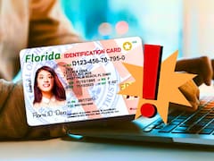 Oficial | El Gobierno podrá confiscar los vehículos y cancelar las licencias de conducir de todos los conductores que figuren en este sitio web