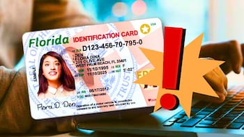 Oficial | El Gobierno podrá confiscar los vehículos y cancelar las licencias de conducir de todos los conductores que figuren en este sitio web