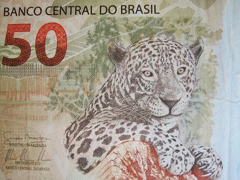 El precio del día.