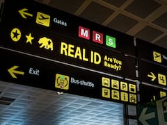 REAL ID para viajar dentro de Estados Unidos: quiénes lo pueden obtener y qué otras identificaciones son válidas