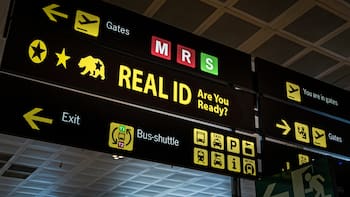 REAL ID para viajar dentro de Estados Unidos: quiénes lo pueden obtener y qué otras identificaciones son válidas