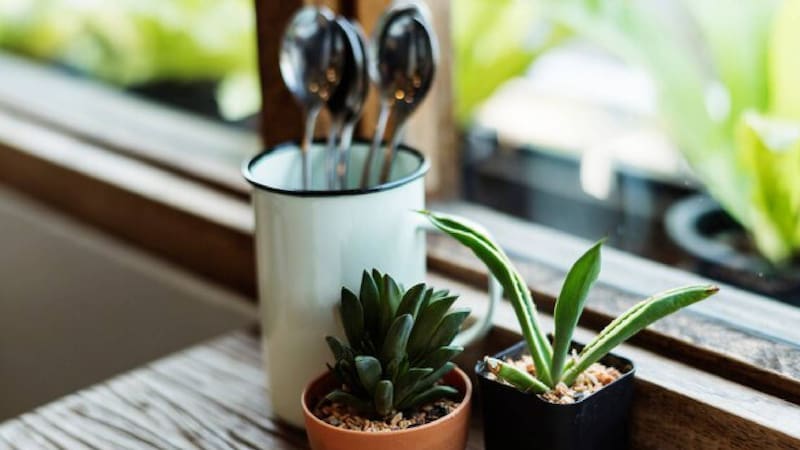 Poner una cuchara en la ventana: por qué recomiendan hacerlo y para qué sirve (foto: archivo).