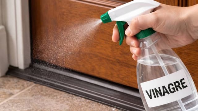 Rociar vinagre en la entrada de una casa: para qué sirve y por qué los expertos lo recomiendan
