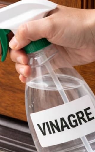 Rociar vinagre y agua destilada en la entrada de una casa: para qué sirve y por qué lo recomiendan