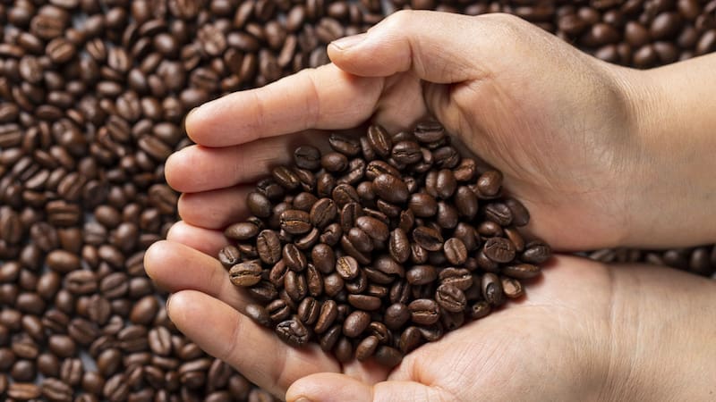 Reconocido por la ONU | Es el único pueblo del país con plantaciones de café: atrae a los turistas por sus paisajes y cultura. (Fuente: Freepik).