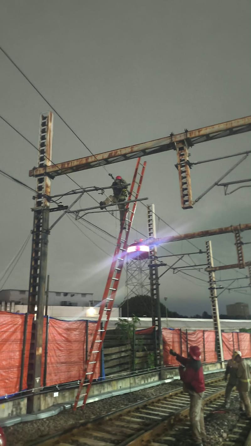El Tren Ligero de la Ciudad de México opera con un servicio provisional debido a la ruptura de un cable en las inmediaciones de la Terminal Tasqueña. Autoridades trabajan para restablecer el recorrido habitual.