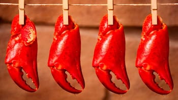 Red Lobster, la reconocida cadena especializada en mariscos se despidió de México después de 13 años: cerró su última tienda operativa