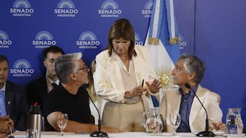 Bullrich mete presión: cuándo podría firmarse el dictamen del Senado