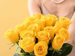 Por qué y para qué regalar flores amarillas: todo lo que revela este inocente presente
