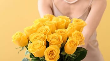 Por qué y para qué regalar flores amarillas: todo lo que revela este inocente presente