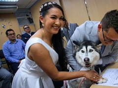 El impuesto oculto en el Registro Civil que tienen bodas que pocos conocen: cómo casarte sin pagar un peso extra