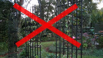 Adiós a la puerta de reja: la tendencia que ofrece mayor seguridad y estilo en las casas