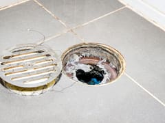 Tirar vinagre blanco en las rejillas de tu casa: cómo usarlo y por qué sirve para eliminar el olor a cloaca