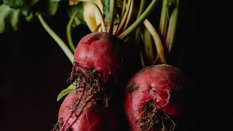 La remolacha es considerada un superalimento porque estimula el funcionamiento neuronal. Fuente: Freepik.