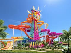 Royal Caribbean replanteará inversión multimillonaria en México tras veto ambiental a parque acuático en Mahahual