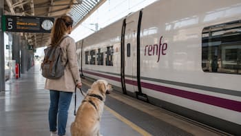 Renfe permite perros de hasta 40 kilos en sus trenes: todos los requisitos para viajar con tu mascota