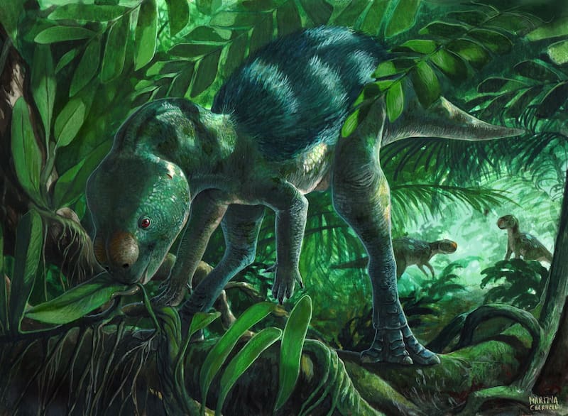 La reconstrucción muestra cómo habría sido Foskeia pelendonum, un dinosaurio del tamaño de un perro que vivió en la actual España hace más de 120 millones de años.